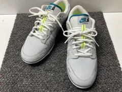 NIKE ナイキ W DUNK LOW SE VOMERO / 26cm グレー / FJ5473-099