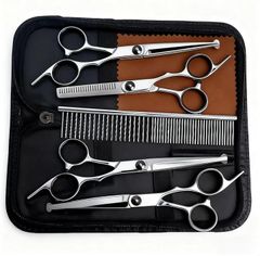 Item thumbnail for item ce215511-994a-4252-9a7c-aa9c2a675532