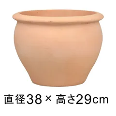 2026年最新】テラコッタ 鉢 15号の人気アイテム - メルカリ