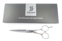 Item thumbnail for item 390bab01-40ea-40fa-84a7-3901026ea4f7