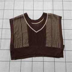 ◇ Θ Discoat ディスコート DCZ1012105A0008 ニットベスト ブラウン系 レディース F E  【1601210004940】