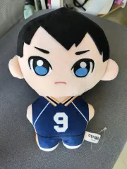 ハイキュー!! 影山飛雄 ぬいぐるみ ともぬい ☆特価品 ハイキュー!! ぬいぐるみ 影山飛雄 (キャラクターグッズ