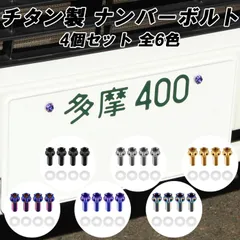 チタン ナンバーボルト 4本セット M6×15 自動車 軽自動車 普通車 トラック 錆びない おしゃれ キャップ ワッシャー付き トルクス工具付き 盗難防止 ライセンス ボルトのサムネイル