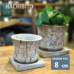 植木鉢 植木鉢 おしゃれ クラックポット RR509-080 2.5号(8cm) 鉢底穴有り 受け皿付き 石材調 セメント スタイリッシュ