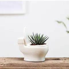 新しい未使用 便器 トイレに多肉植物 植木鉢 陶器 観葉植物 プランター 花瓶 サボテン インテリア 花瓶 おもしろ雑貨 容器 おしゃれ 北欧 