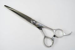 Item thumbnail for item 34ce4b99-f841-47bc-9c0c-cfc3819cfc02