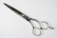 Item thumbnail for item 3fd66019-7d78-43c1-807e-e87c877bf860