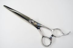 Item thumbnail for item 5daa0032-6826-4063-8f16-e6b388b9f791