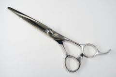 Item thumbnail for item 36ac9602-1123-47fb-aea2-d2059b4abe02