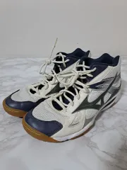 ミズノ バドミントンシューズ 室内 スニーカー 260 (新1160)