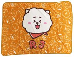 [중고] 안아 베개 커버 시트 [단품] RJ (진) 담요 [BT21] 로프트 로프트 넷 스토어 한정 2020 BT21 Happy Bag (해피 가방) 동고 품