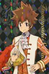 【中古】紙製品(キャラクター) 沢田綱吉 イラストシートA 「家庭教師ヒットマンREBORN! Festa di ナンジャタウン Ver. FAMIGLIA」 メニュー注文特典