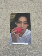 ENHYPEN（エンハイプン・エナプ） THE SIN : VANISH ソヌ(SUNWOO) トレカ