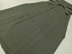 Item thumbnail for item 591c8163-0be1-46fe-82b4-2534b18441ac