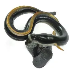 2026年最新】原色淡水魚図鑑 ウナギの人気アイテム - メルカリ