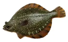 【中古】トレーディングフィギュア ヌマガレイ 「原色淡水魚図鑑II 改訂版」のサムネイル