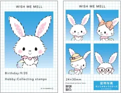 【中古】キャラカード ウィッシュミーメル 「サンリオキャラクターズ シークレット証明写真風スマロイド」