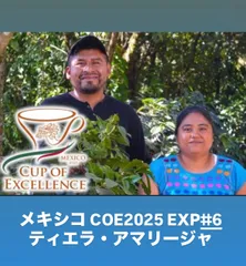生豆200g メキシコ COE2025 EXP#6 ティエラ・アマリージャのサムネイル