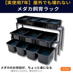 メダカラック R28 2段8個置き サビに強い NVボックス対応 めだか 棚