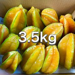 沖縄県産 訳ありスターフルーツ 1.5kg- メルカリ