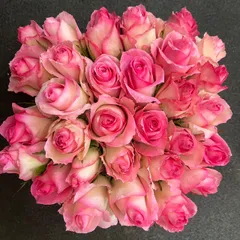 バラ・切り花・生花　メインラブチェリー 長さ30㎝SMサイズ　30本　産地直送！鮮度抜群！　薔薇　花束