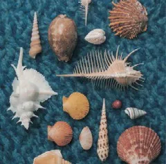 (CD)CYCLE HIT 1991-1997 Spitz Complete Single Collection (初回