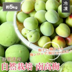 【 冷凍 】静岡県産 生 南高梅 約 5kg サイズ不揃い 送料無料 産地直送 農家直送 5キロ 梅酒 梅干し ジュース用 梅干し用 静岡県 自宅用 美味しい 家庭用 静岡 生梅 青梅 うめ ウメ 青うめ 冷蔵便 加工用 箱買い 紀州南高梅 陽だまりファーム