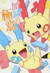 【中古】男性向一般同人誌 ≪ポケットモンスター≫ 加減の極意 / ナゼカ / 岸露カイン / 新長田