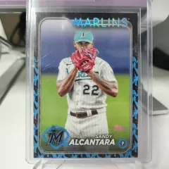 MYAIAMI サンディ アルカンタラ 2024 TOPPS チームカラーボーダー カード