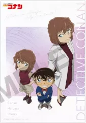 【中古】キャラカード 灰原哀＆コナン＆宮野志保 「名探偵コナン ブロマイドコレクション vol.11」