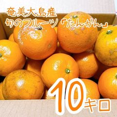 2 世界自然遺産 奄美大島産 完熟たんかん 10キロ 特産品 加工用 柑橘