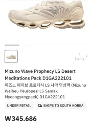 ミズノ ウェーブ プロフェッショナル LS Desert ランニングシューズ 280