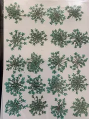 押し花素材パック　レースフラワー（水色）20個入　No1061