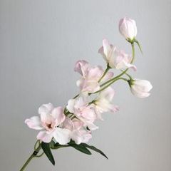 エミリオロバ マグノリア 木蓮 モクレン 造花 - メルカリ