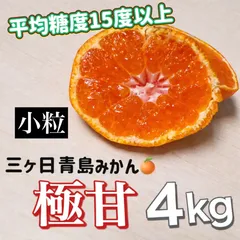 【甘さ保証】三ヶ日青島みかん｜平均糖度15度以上｜小粒2S-S｜産地直送4kg