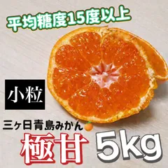 【甘さ保証】三ヶ日青島みかん｜平均糖度15度以上｜小粒2S-S｜産地直送5kg