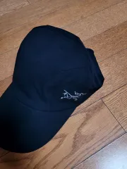 2026年最新】アークテリクス ノベルティの人気アイテム - メルカリ