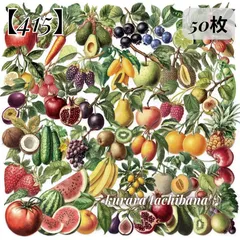 【415】コラージュ素材 フレークシール ステッカー 果物 フルーツ 苺 食べ物 野菜 葉っぱ 装飾 PET デコレーション スクラップブッキング ジャンクジャーナル 手帳 アルバム 日記 シール帳 シール交換 50枚