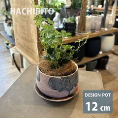 新品 植木鉢 おしゃれ 陶器鉢 パープルミックスポット RR605-125 4号