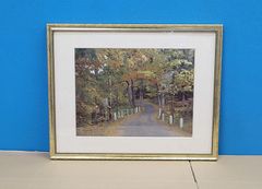 180㎝スレンダーツリー JOA-147 - メルカリ