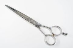 Item thumbnail for item 219463dc-263b-4f08-9029-e97682a82bd5