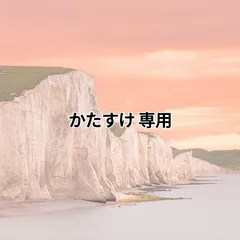 【2本目半額】usb ケーブル 充電ケーブル