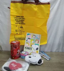 キャラクターグッズ スヌーピー マイバッグ、ポーチ、小物入れ(缶)他 9点まとめ 未使用品(長期間保管品) S541