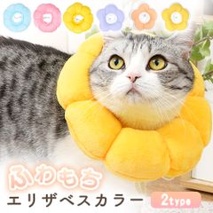 Item thumbnail for item ca7182b6-0ef8-4a1b-acd2-055e877f732c