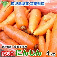訳あり にんじん 4kg 化学肥料・農薬・除草剤不使用 鹿児島県産 宮崎県産 ジュース用 規格外 わけあり B品 人参 冷蔵便 発送期間2月～3月のサムネイル