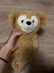 ディズニーランド Duffy バッグ