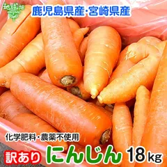 訳あり にんじん 18kg 化学肥料・農薬・除草剤不使用 鹿児島県産 宮崎県産 ジュース用 規格外 わけあり B品 人参 冷蔵便 発送期間2月～7月のサムネイル
