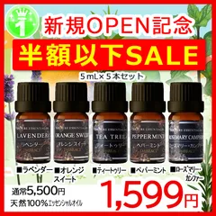 ✨人気アロマオイル 精油 5本セット（ラベンダー・オレンジスイート・ティートゥリー・ペパーミント・ローズマリーカンファ― 各5mL）｜天然100％エッセンシャルオイル