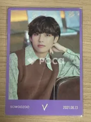 BTS V BTS 2021 MUSTER SOWOOZOO(小宇宙) Mini Photo Card