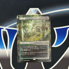 MTG 神聖なる泉 RVR ボーダーレス 4枚セット MTG 神聖なる泉 ボーダー